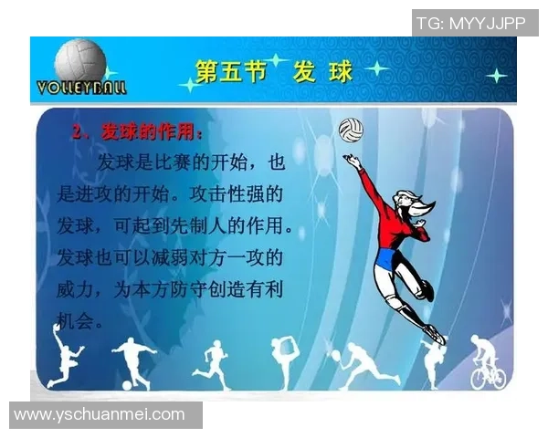 成都排球队反击体系解析：排球战术的创新与实践探索