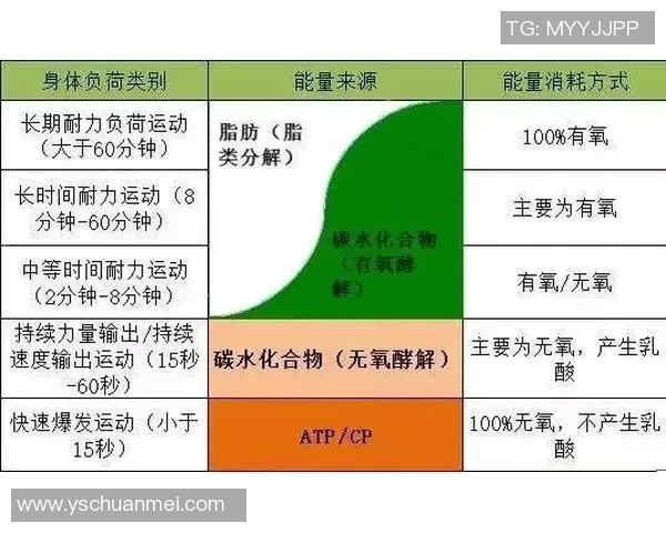 科学足球速度训练的创新方法与实用技巧探讨