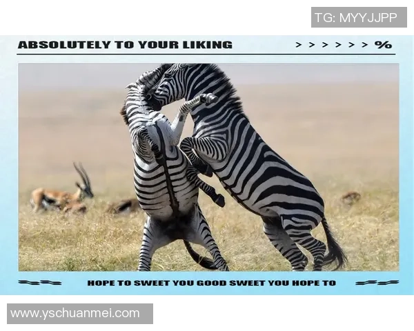 巴西与巴拿马友谊赛激战正酣球迷期待精彩对决与进球盛宴